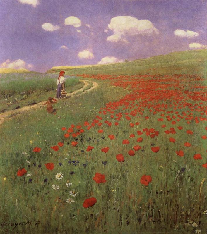 Merse, Pal Szinyei A Field of Poppies china oil painting image